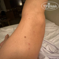 фото из отзыва ID 2693913