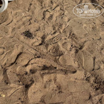 фото из отзыва ID 2693913