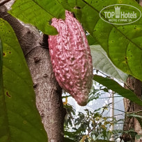 фото из отзыва ID 2692914