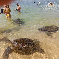 фото из отзыва ID 2692914