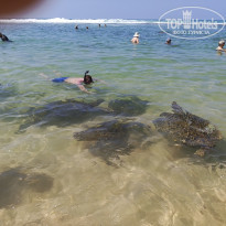 фото из отзыва ID 2692914