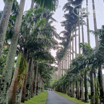 фото из отзыва ID 2692914