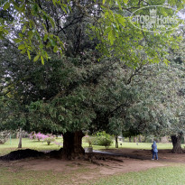 фото из отзыва ID 2692914