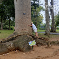 фото из отзыва ID 2692914