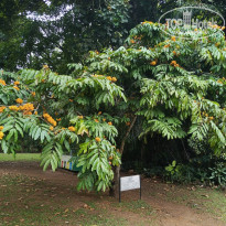 фото из отзыва ID 2692914