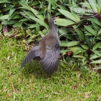 фото из отзыва ID 2692914