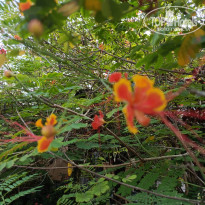 фото из отзыва ID 2692914