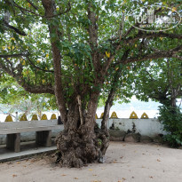 фото из отзыва ID 2692914