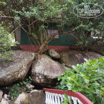 фото из отзыва ID 2692914