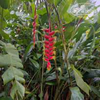 фото из отзыва ID 2692914