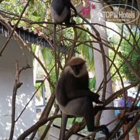 фото из отзыва ID 2692914