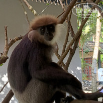 фото из отзыва ID 2692914