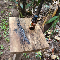 фото из отзыва ID 2692914