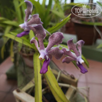 фото из отзыва ID 2692914