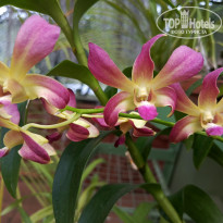 фото из отзыва ID 2692914