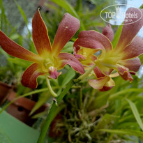 фото из отзыва ID 2692914