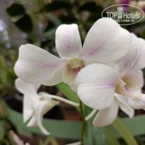 фото из отзыва ID 2692914