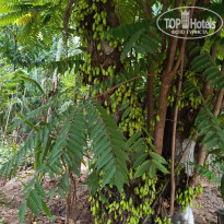 фото из отзыва ID 2692914