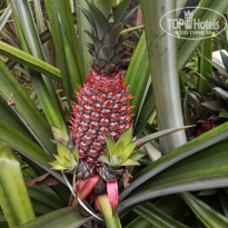 фото из отзыва ID 2692914