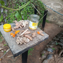 фото из отзыва ID 2692914