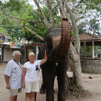 фото из отзыва ID 2692914