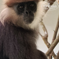 фото из отзыва ID 2692914