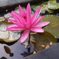 фото из отзыва ID 2692914