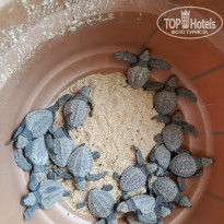 фото из отзыва ID 2692914