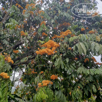 фото из отзыва ID 2692914