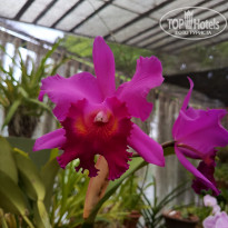 фото из отзыва ID 2692914