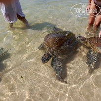 фото из отзыва ID 2692914