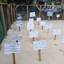 фото из отзыва ID 2692914