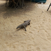 фото из отзыва ID 2692914