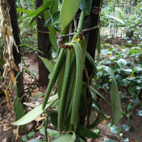 фото из отзыва ID 2692914