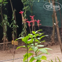 фото из отзыва ID 2692914