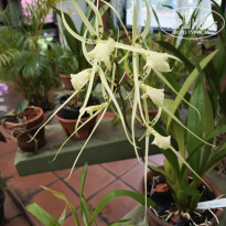 фото из отзыва ID 2692914