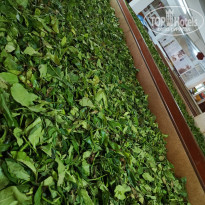 фото из отзыва ID 2692914