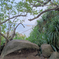 фото из отзыва ID 2692914