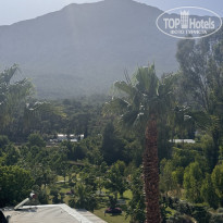 фото из отзыва ID 2693949