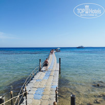 фото из отзыва ID 2693958