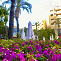 фото из отзыва ID 2693980