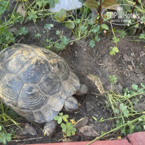 фото из отзыва ID 2693999