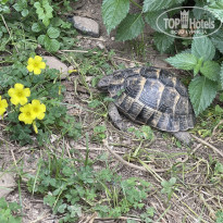 фото из отзыва ID 2693999