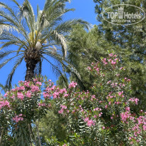 фото из отзыва ID 2693999