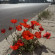 фото из отзыва ID 2694004