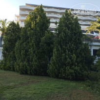 фото из отзыва ID 2693867