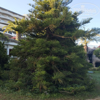 фото из отзыва ID 2693867