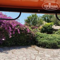 фото из отзыва ID 2693867