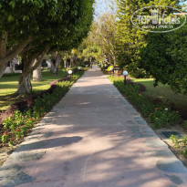 фото из отзыва ID 2693867