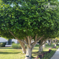 фото из отзыва ID 2693867